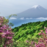 三つ葉つつじと富士山